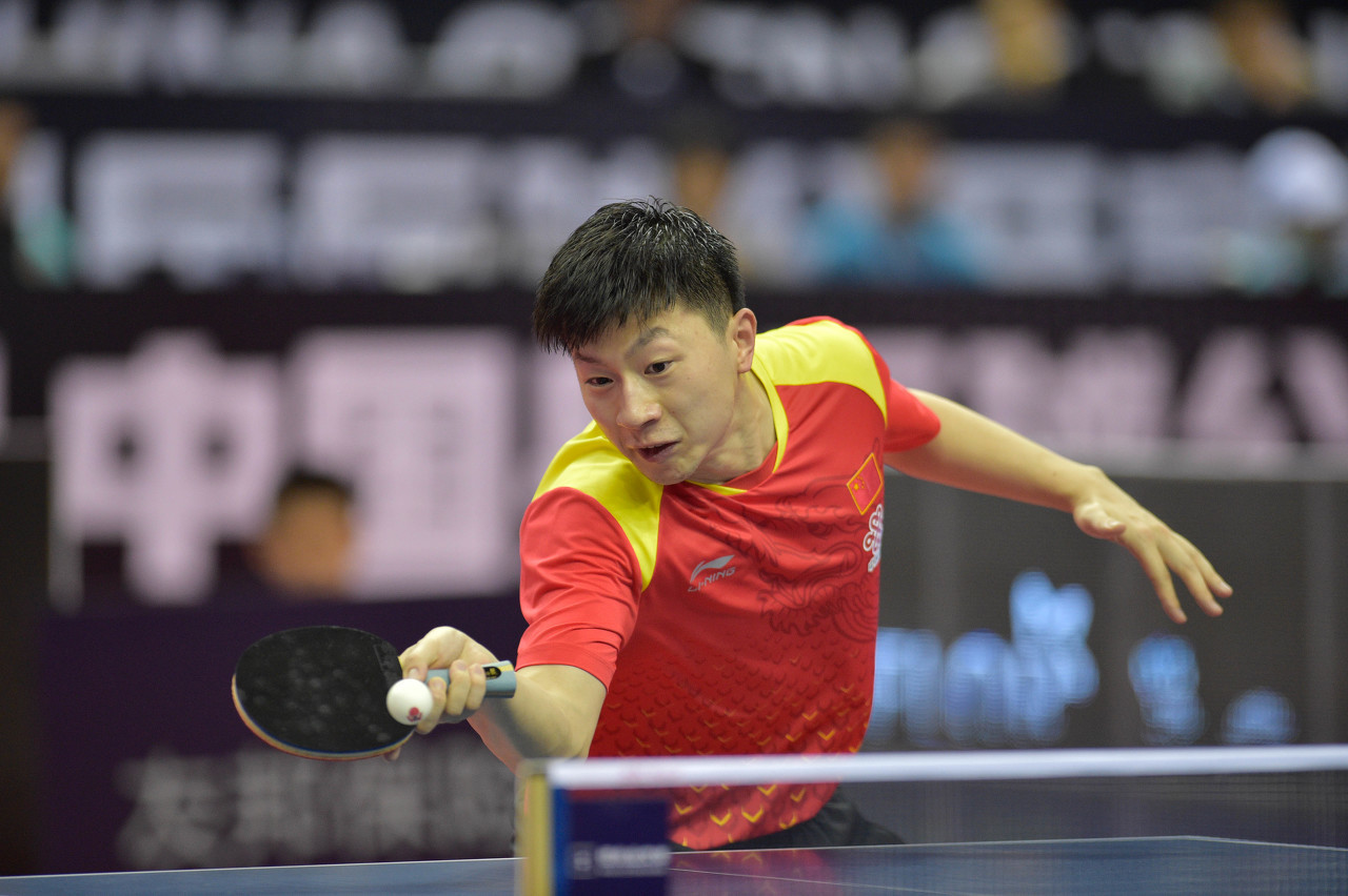 现场观赛的 现场观赛的