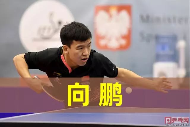 根据过往案 根据过往案