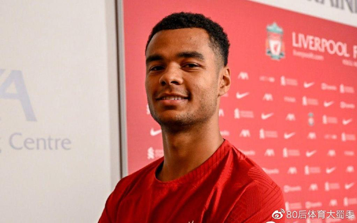 路易斯事件 路易斯事件